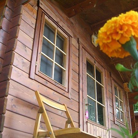 Onur Motel Faralya Fethiye Экстерьер фото