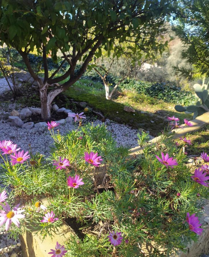 Onur Motel Faralya Fethiye Экстерьер фото